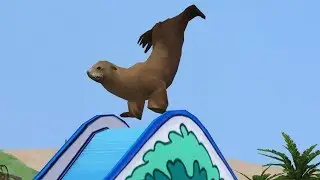 Zoo Tycoon 2: Marine Mania Campaign - Marine Shows - Marine Show Photographer