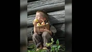 Можно ли до Преображения есть яблоки? Вопросы и ответы.