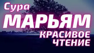21 сентября 2022 г.