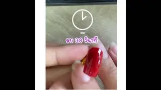 ฝึกทาสีเจล ฉบับมือใหม่
