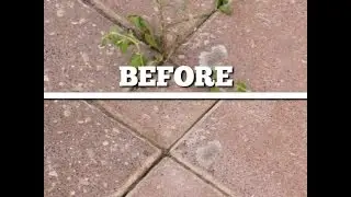 Vinegar Epsom Salt Weed Killer?