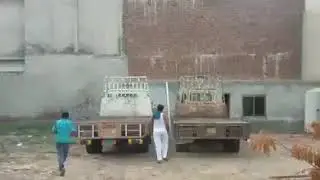 KILLER BULL