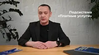 Подсистема «Платные услуги»