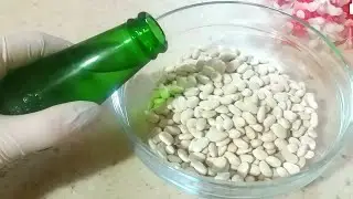 COOK DRIED BEANS WITH MINERAL WATER!!! THE RESULT IS AMAZING AND DELICIOUS😋