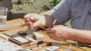 Копулировка садовым ножом  VICTORINOX