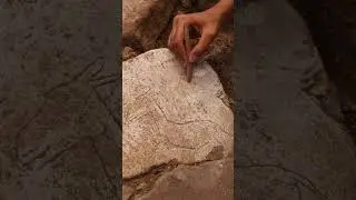 12,000 years old Running wild donkey figure discovered in Karahantepe #archaeologynews #ancient