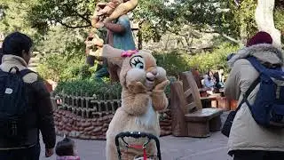 Tokyo Disneyland Photo Compilation January 2019 Part 3  東京ディズニーランド写真集 2019年1月 Part3
