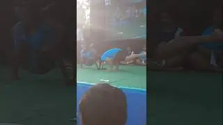 Indian yogini yoga competition #yogagirl #youtubeshort