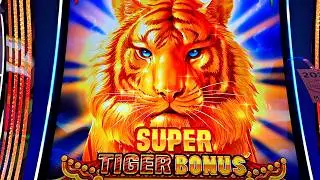 TIGER AND DRAGON SUPER BONUS!!!!!!!!!!!!!!!!