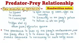 Predator-Prey Relationship