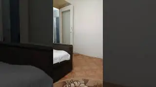 Кот, который носит мяч.