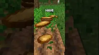 Minecraft Survival is BACK 😎 #minecraft #minecraftmemes #minecraftbuilding #minecraftshorts