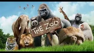 Dancing at the Zoo