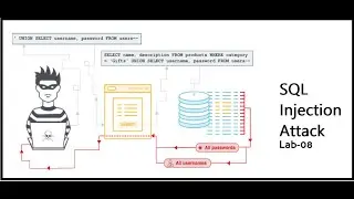 SQL injection attack, querying the database type and version on MySQL and Microsoft - Lab#08