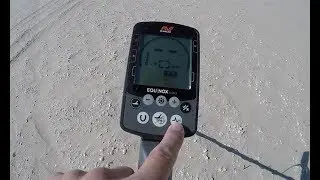 Minelab Equinox Review and Beach Test
