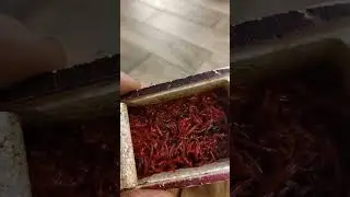 Просто шок