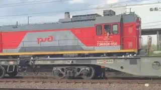 ТЭМ18 дм - 856