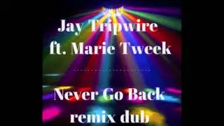 Jay Tripwire ft. Marie Tweek - Never Go Back (remix dub)