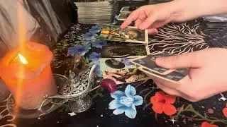 💨🐀КРЫСЫ ПРЕВРАТИЛИСЬ В ТРУСЛИВЫХ МЫШЕЙ🌪️🐀