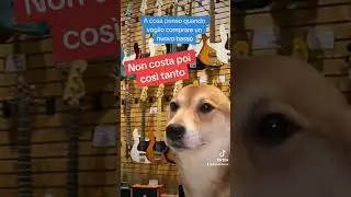 Ed ecco come sono arrivato a 14 bassi
