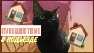 КОТ БЛОГЕР ПУТЕШЕСТВУЕТ ПО ПОДЪЕЗДУ!!!
