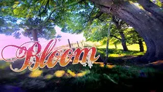 B l o o m :: FPV Summer of Love ❤️‍🔥
