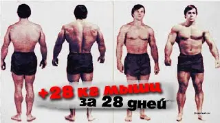 Как набрать 28 кг мышц за месяц