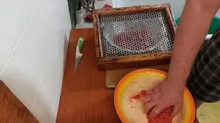 КАК ЗАСОЛИТЬ КРАСНУЮ ИКРУ от А до Я