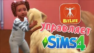 🌈 Симулятор управляет симулятором | Bitlife Controls Sims 4 // EP 1
