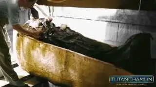 Die Sargkammer | Untersuchung der Särge