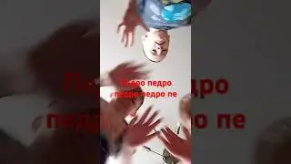 педро педро педро педро пе