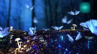 #Relaxing music for sleep, meditation, and stress management #Расслабляющая музыка для сна,медитации