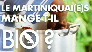LE MARTINIQUAIS MANGE-T-IL BIO ? [La Tête et Le Corps]