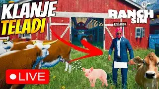 KOLJEMO NAJVIŠE TELADI IKAD! REKORD! *Ranch Simulator* w/Krmak