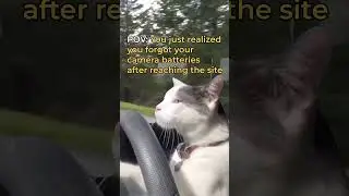 Don’t panic! Don’t panic!