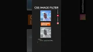CSS Image Filter Grayscale 