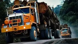 The heaviest timber truck in the world - 104 tons