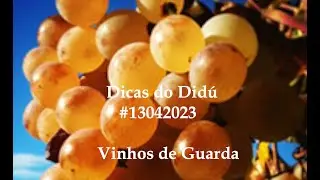 Didú's Tips 
