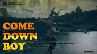 Defeating Flying Dragon Agheel | Elden Ring | Boss Fight