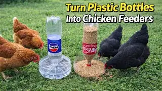I Turned a Plastic Barrel Into an Automatic Chicken Feeder