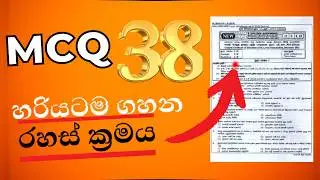O/L MCQ 38 ක් ගහන්න රහස් ක්‍රමයක්! | How to get 38 mcq marks | 2024(2025) OL Anumana