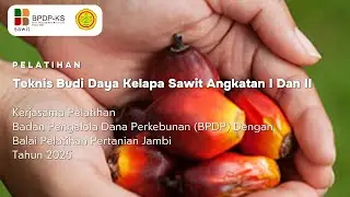 BPDP Tingkatkan Kapasitas Petani Perkebunan Sawit Batanghari Angkatan I Dan II