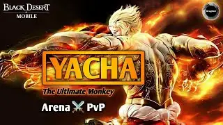 YACHA🔥 Arena⚔️PvP gameplay | Monke mode🐒🙈 | Black Desert Mobile