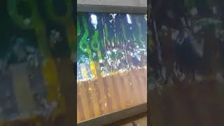 Microscope se zoom board