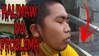 Halimaw na problema | Novy the creepy | Boss Yoko Tv