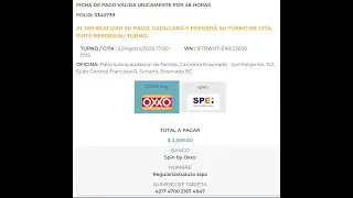 Clonan página de Pago de Aprovechamiento