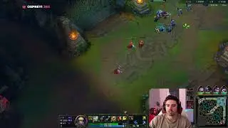 Midbeast opinion on Soltex Vayne
