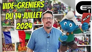 Geeklye Vide greniers du 14 Juillet 2024 : Goldorak, Schtroumpfs, DVD, LaserDisc, Jouet Vintage...