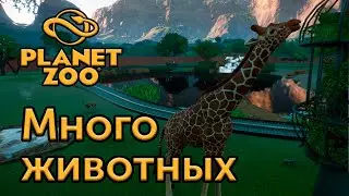 [7] Запускаем животных в сафари - Planet Zoo | Прохождение на русском
