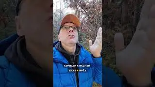 Как Открыть Сознание: Молитва как Путешествие Внутрь Себя! 